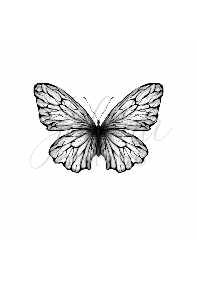 Papillon